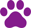 Kattenpoot